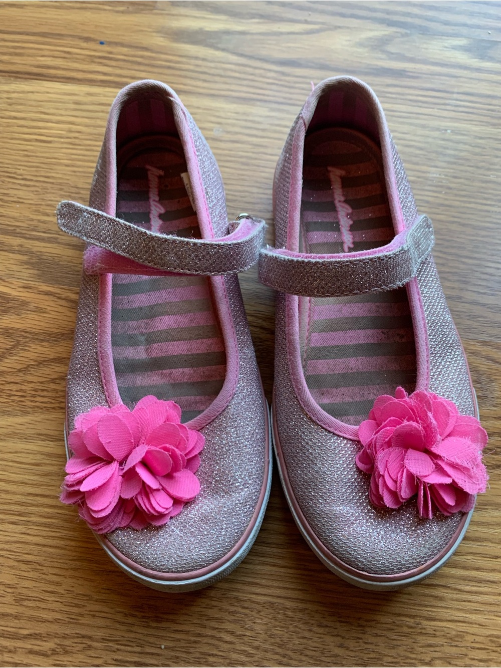 Hanna Andersson Pink Glitter Mary Jane Shoes Slides Flats Girl Kid Shoe Size 3